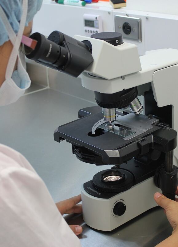 Validation scientifique de la formation PNL Bandler Manager